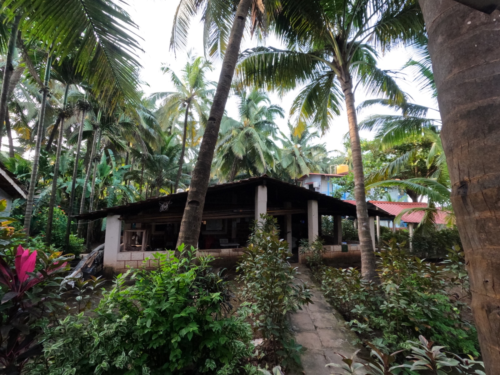 Palande Beach, Dapoli